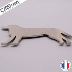 Magnet Chien